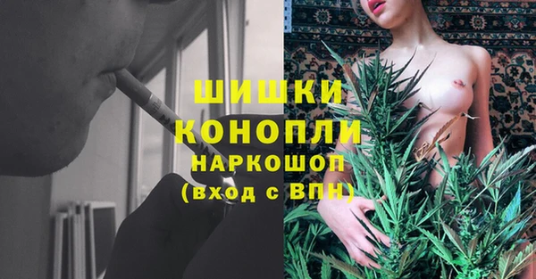 гашик Алзамай