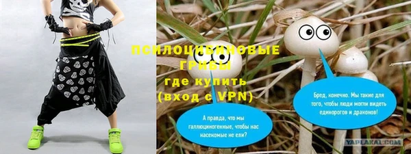 первитин Алексин