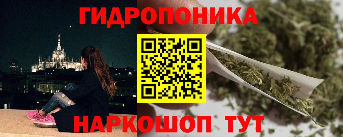 МАРИХУАНА конопля Кондопога